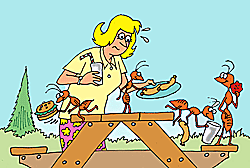 Ants are overwhelming an aunt who was setting up food for a picnic.