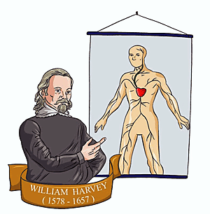 William Harvey used Latin to report the final results of his medical research.