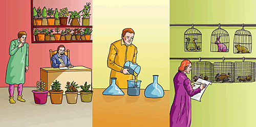 Scientific areas including biology, botany, chemistry, physics, and medicine use terminology from Greek and Latin.