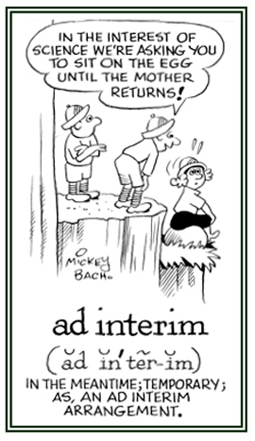 Temporary or in the meantime.