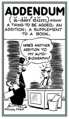 An addition or a supplement to a book.