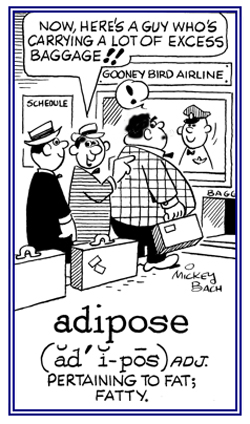 Pertaining to fat or fatty.