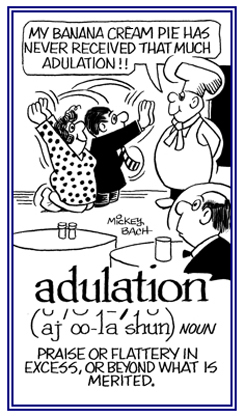 Excessive praise or flattery.