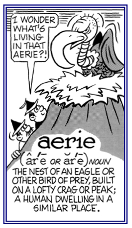 A nest of a bird of prey that is build on a lofty or high crag or peak.