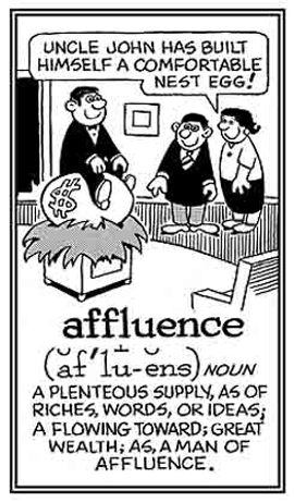 Abundance of riches, wealth, or opulence.