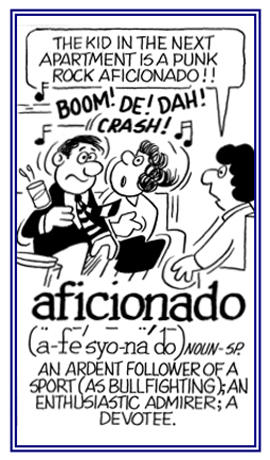 A devotee or enthusiastic admirer.