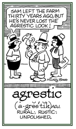 Rustic, rural, an unpolished behavior.