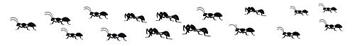 Ants on the march.