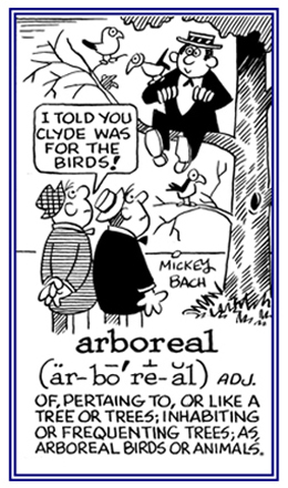 Pertaining to trees or inhabiting trees like arboreal animals or birds.