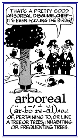 Pertaining to or similar to a tree or trees.