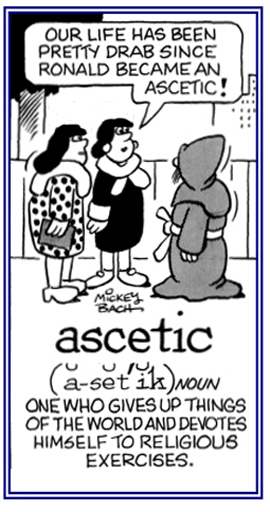 A person who devotes himself or herself to religious activities.