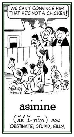 Obstinate, stupid, or silly conduct.