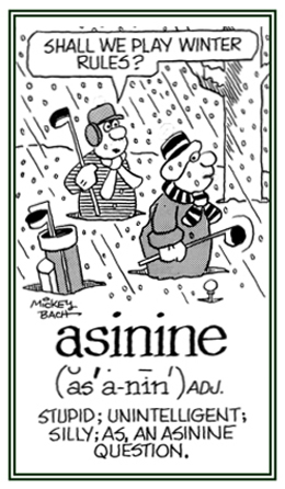 Obstinate, stupid, or silly conduct.