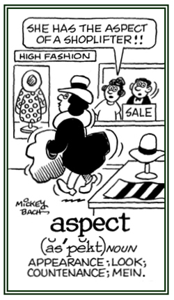 A look or appearance like something.