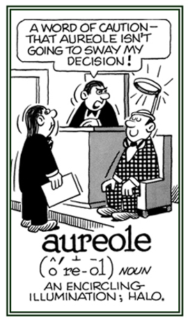 A halo or an encircling illumination.