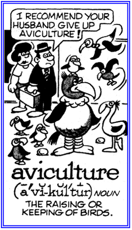 The raising or taking care of birds.