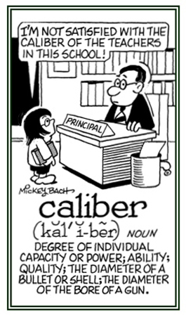 The extent or degree of an individual's capacity or ability.