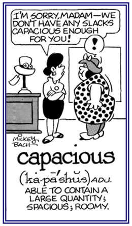 A reference to something that is able to contain a large quantity or has plenty of room for someone.