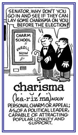 Pertaining to personal appeal or charm.