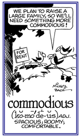 Roomy and and spacious.