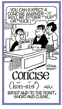 Brief, short, clear, and to the point.