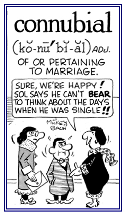 Pertaining to marriage.