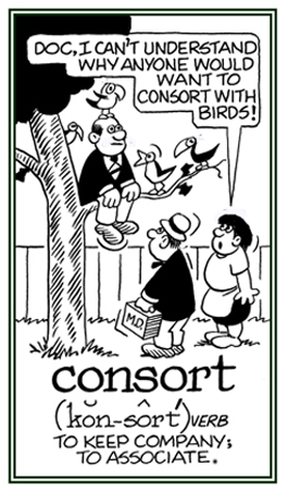 To hang around or to be involved with other individuals.