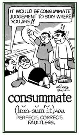 Referring to the something that is perfect or correct.