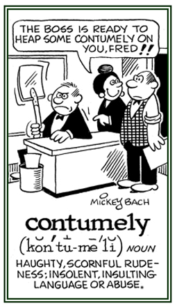 Scornful rudeness; insulting language or abuse.