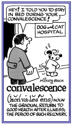 The gradual return to good health after and illness.