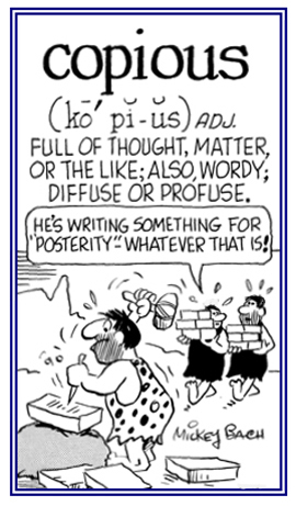 A reference to something that is wordy.