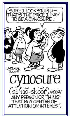 The center of attention or interest.