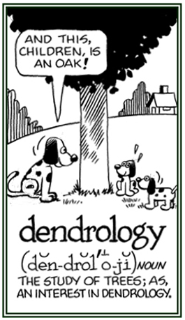 The system of studying trees.