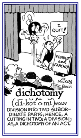 A division into two equal parts.