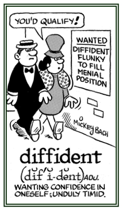 A shy or timid and bashful person.