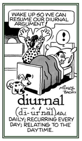 Relating to the daytime when something happens every day.