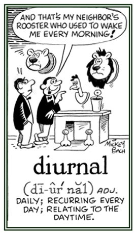 A reference to something that happens during each day.