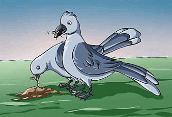 Two birds show us about insectivorous consumers.