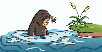 An example in nature of a piscivorous consumer.