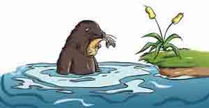 An animal just caught a fish to eat.