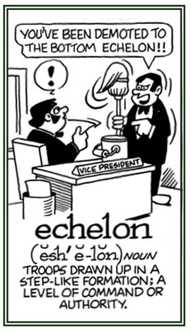 A level of authority or command in a step-like formation.