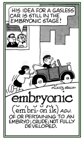 Descriptive if something that is not fully developed.