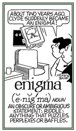 A riddle or anything that perplexes or baffles others.