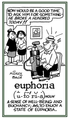 A feeling of enjoyment and pleasure.