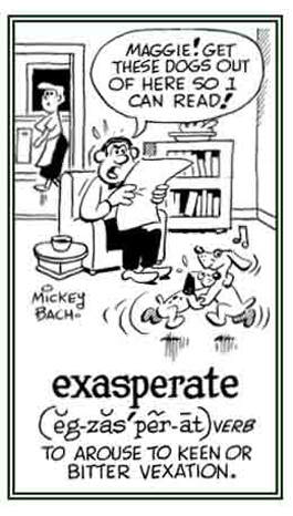 To frustrate or annoy someone.