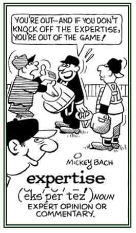 An expert opinion or commetary.