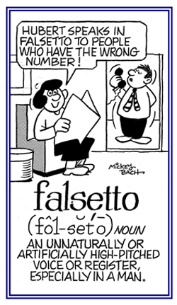 An artificially high-pitched voice by a man.