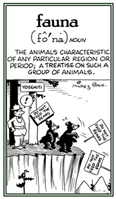 A study of animals and their characteristics.