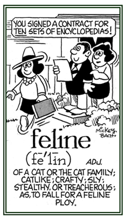 Crafty and sly like cat.