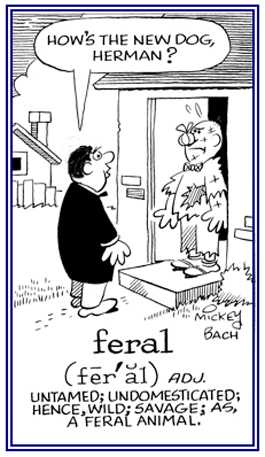 Referring to an untamed and wild, savage animal.